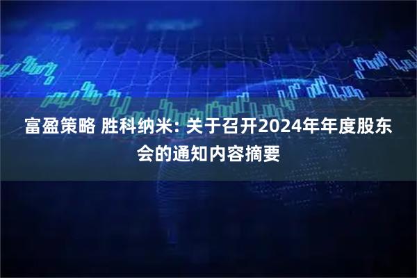 富盈策略 胜科纳米: 关于召开2024年年度股东会的通知内容摘要