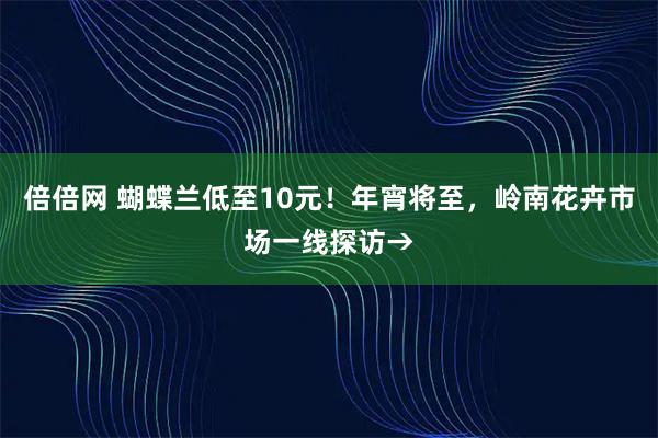 倍倍网 蝴蝶兰低至10元！年宵将至，岭南花卉市场一线探访→