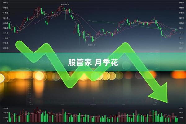 股管家 月季花